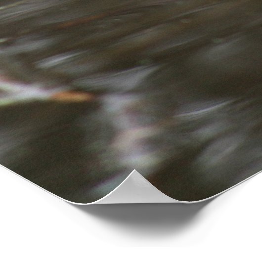 Poster Conseil musculaire (Coin)