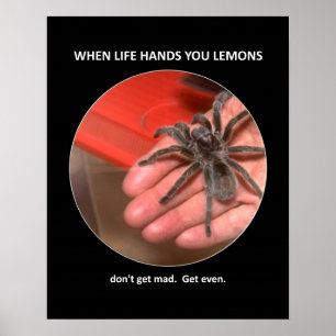 Poster Conseils amusants ne pas obtenir Mad obtenir même