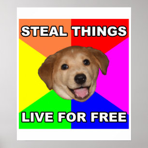 Poster Conseils Chien Voler des choses, Vivre gratuitemen