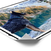 Poster Conservation Canine "Max" Photo/Poster (Coin)