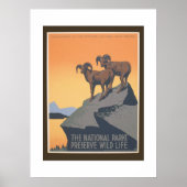 Poster Conservation de la faune - Vintage voyage (Devant)
