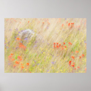 Poster Conservation de la nature  Îles San Juan, WA