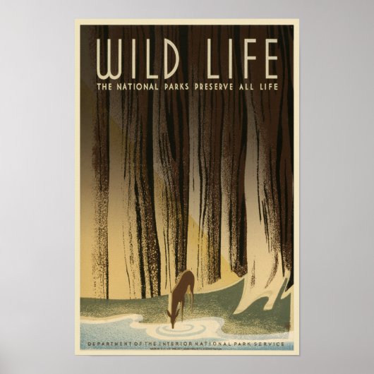 Poster Conservation de la vie sauvage - National Park Ser (Devant)