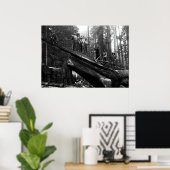 Poster CONSERVATION DES COUPS DANS LES REDWOODS c. 1890 (Bureau à domicile)