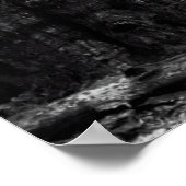 Poster CONSERVATION DES COUPS DANS LES REDWOODS c. 1890 (Coin)