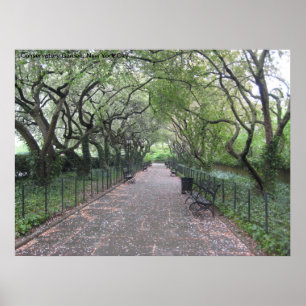 Poster Conservatoire de New York Garden Central Park New 