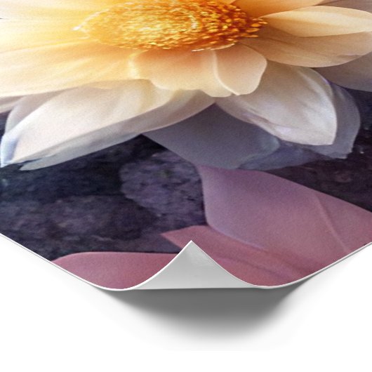 Poster Conserver Crystal Owl Conception ou conception de  (Coin)