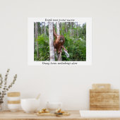 Poster Conserver la faune de la nature (Cuisine)