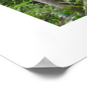 Poster Conserver la faune de la nature (Coin)