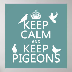 Poster Conserver le calme et garder les pigeons - toutes 