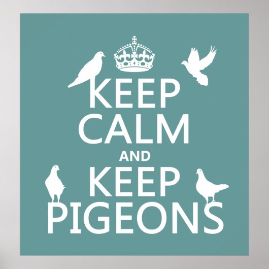 Poster Conserver le calme et garder les pigeons - toutes  (Devant)