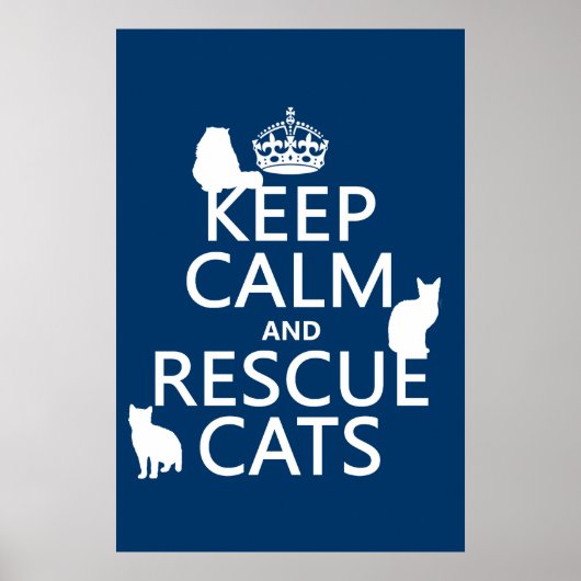 Poster Conserver le calme et Secourir les chats (dans n'i (Devant)