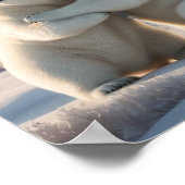 Poster Conserver ou concevoir votre propre (Coin)