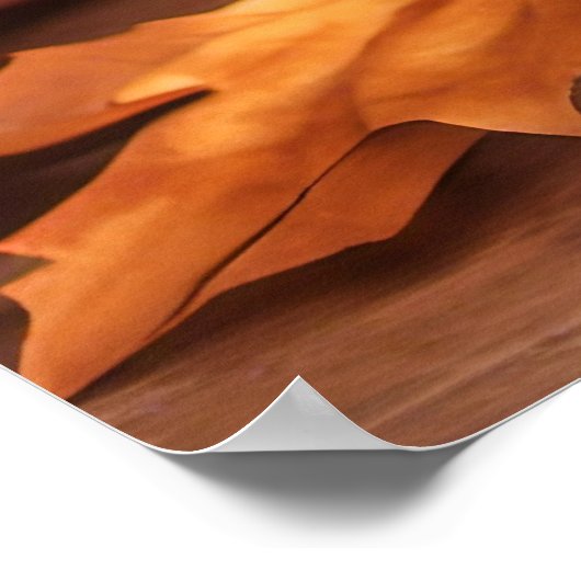 Poster Conserver ou concevoir votre propre (Coin)