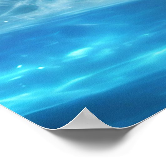 Poster Conserver ou concevoir votre propre (Coin)