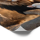 Poster Conserver ou concevoir votre propre (Coin)