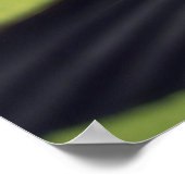 Poster Conserver ou concevoir votre propre (Coin)