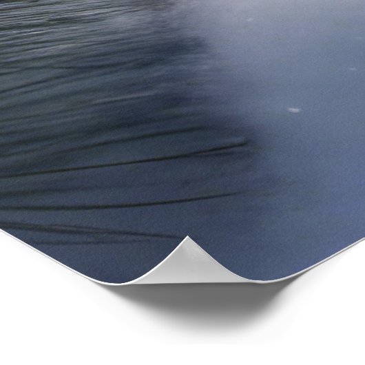 Poster Conserver ou concevoir votre propre (Coin)