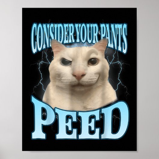 Poster Consider Your Pants Peed Funny Freak Cat Meme Humo (Devant)