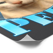 Poster Consider Your Pants Peed Funny Freak Cat Meme Humo (Coin)