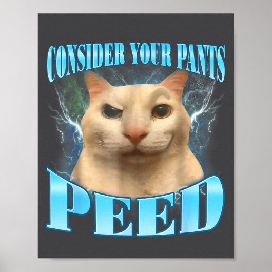 Poster Consider Your Pants Peed Funny Freak Cat Meme Humo (Devant)