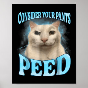 Poster Considérez vos pantalons Peed Funny Freak Chat Mèm