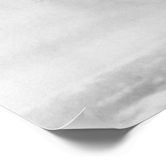 Poster Consolidated B-24 Liberator (Coin)