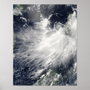Poster Conson de tempête tropicale