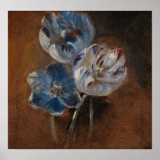 Poster Constable - Étude de trois tulipes perroquet 1832 (Devant)
