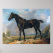 Poster Constable - Golding's Black Riding-Horse (Devant)