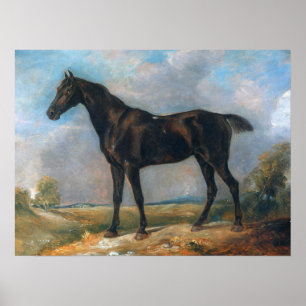 Poster Constable - Golding's Black Riding-Horse