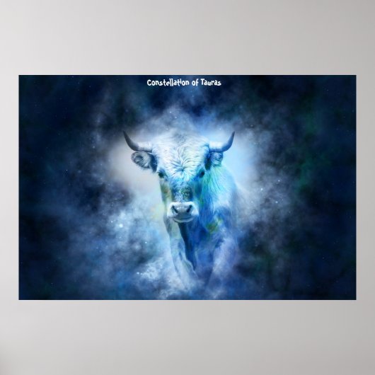 Poster Constellation de Tauras (Devant)