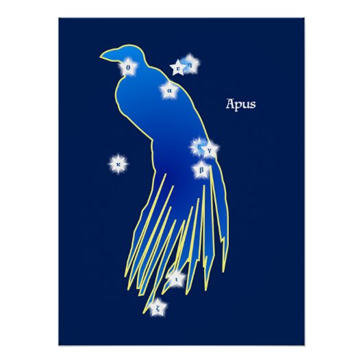 Poster Constellation du Paradisier (Devant)