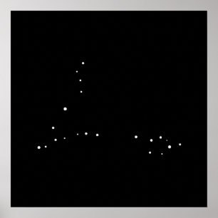 Poster Constellation Pisces par Leslie Peppers