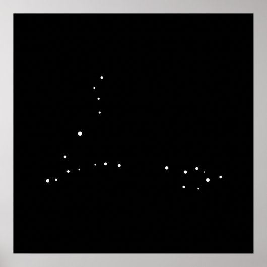 Poster Constellation Pisces par Leslie Peppers (Devant)