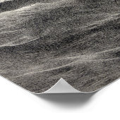 Poster Constitution américaine (Coin)