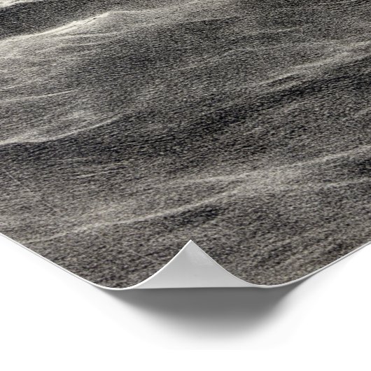 Poster Constitution américaine (Coin)