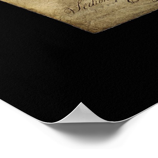 Poster Constitution des États-Unis (Coin)