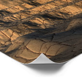 Poster Construction (Coin)