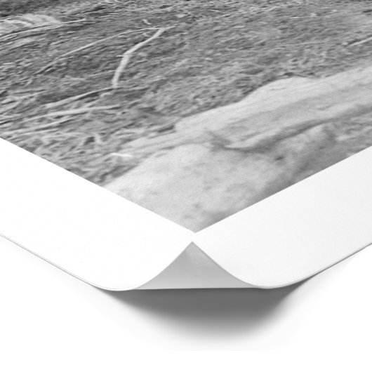 Poster Construction De Routes En Alaska 1916 (Coin)