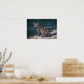 Poster Contact oculaire léopard nuageux (Cuisine)