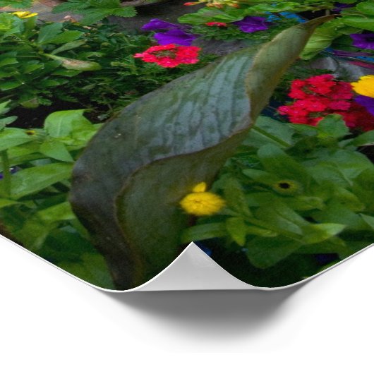 Poster Container Jardin design avec chaise bleue dans not (Coin)