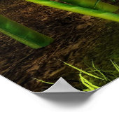 Poster conte de fées (Coin)