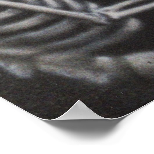 Poster Contemplation (Coin)