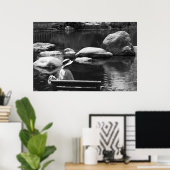 Poster Contemplation, Big Springs Gardens (Bureau à domicile)