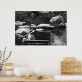 Poster Contemplation, Big Springs Gardens (Cuisine)