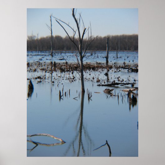 Poster Contemplation de la réflexion (Devant)