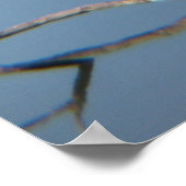 Poster Contemplation de la réflexion (Coin)