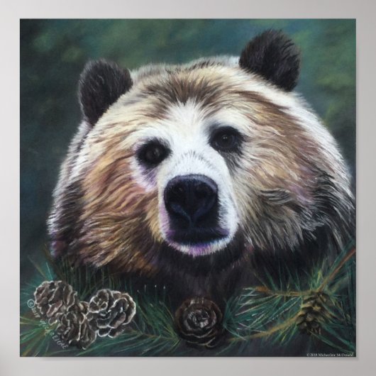 Poster Contempler l'affiche de l'ours (Devant)