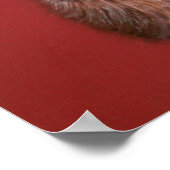 Poster contemporain de Red Deer Staer Highland (Coin)